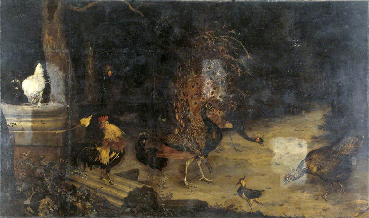 Paon et grues dans un bois - Melchior de Hondecoeter