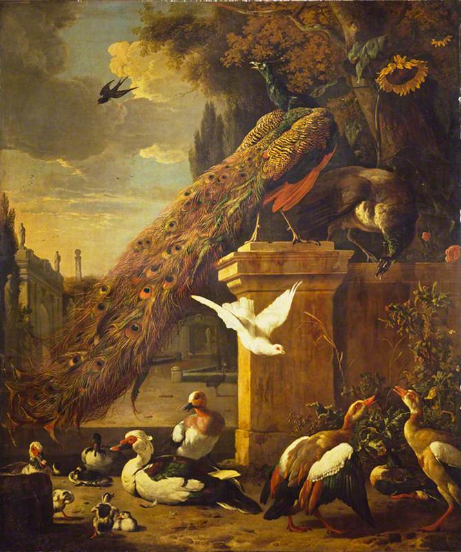 Paons et canards - Melchior de Hondecoeter
