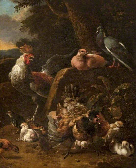 Volailles et pigeons - Melchior de Hondecoeter