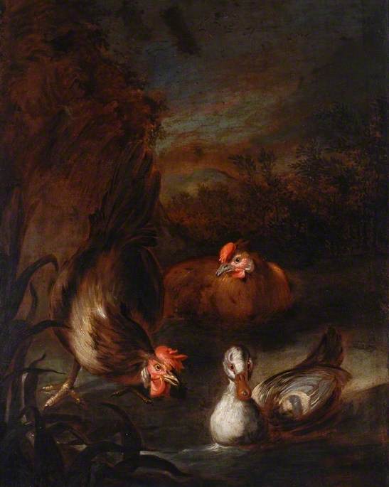 Volaille - Melchior de Hondecoeter