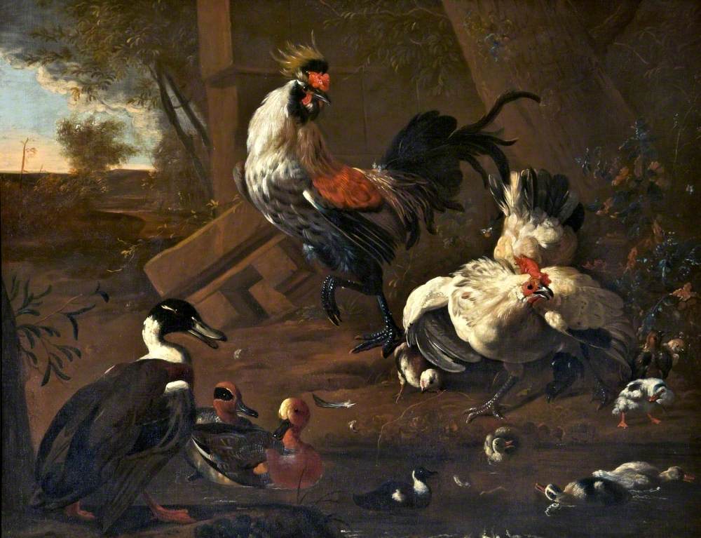 La basse-cour - Melchior de Hondecoeter