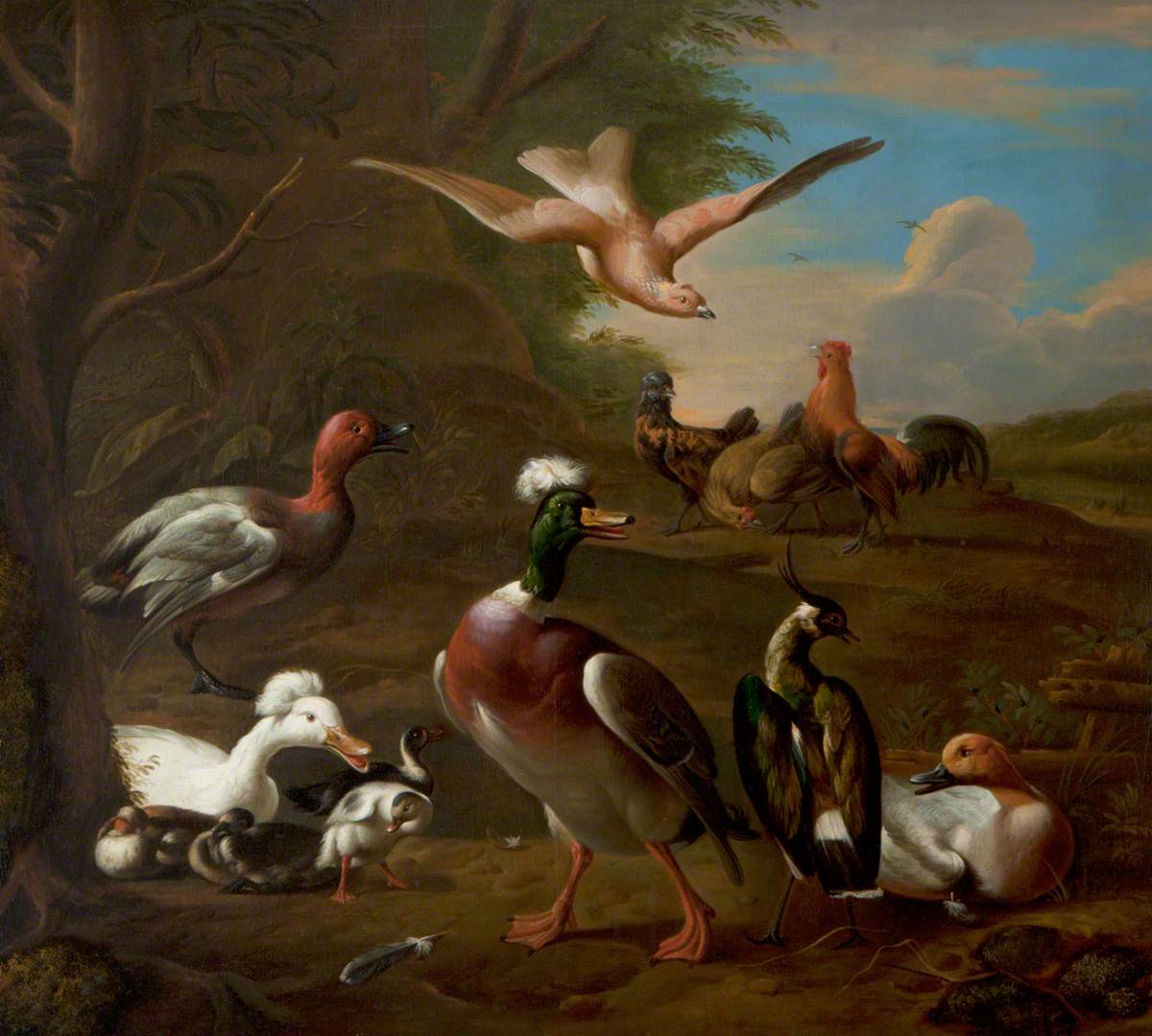 Oiseaux dans un paysage - Melchior de Hondecoeter