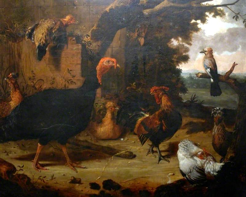 Scène de ferme, la dinde noire - Melchior de Hondecoeter