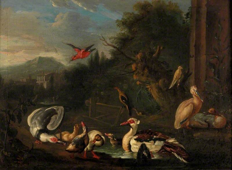 Volaille - Melchior de Hondecoeter