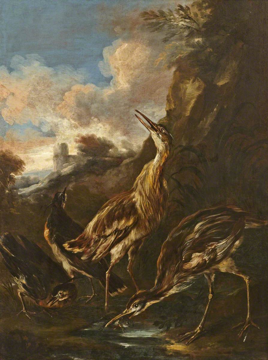 Hérons et vanneaux - Melchior de Hondecoeter