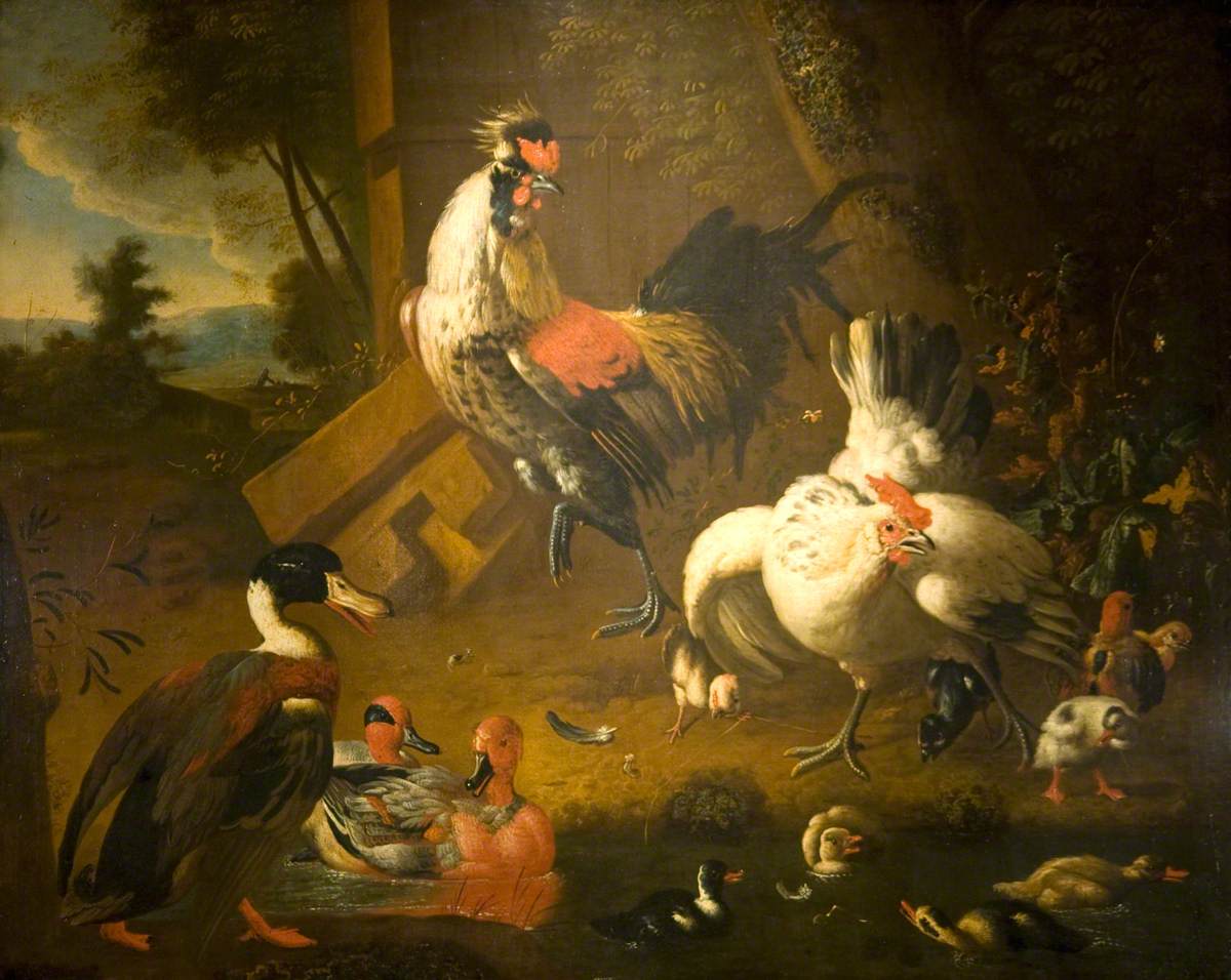 Un coq avec une poule et trois canards - Melchior de Hondecoeter