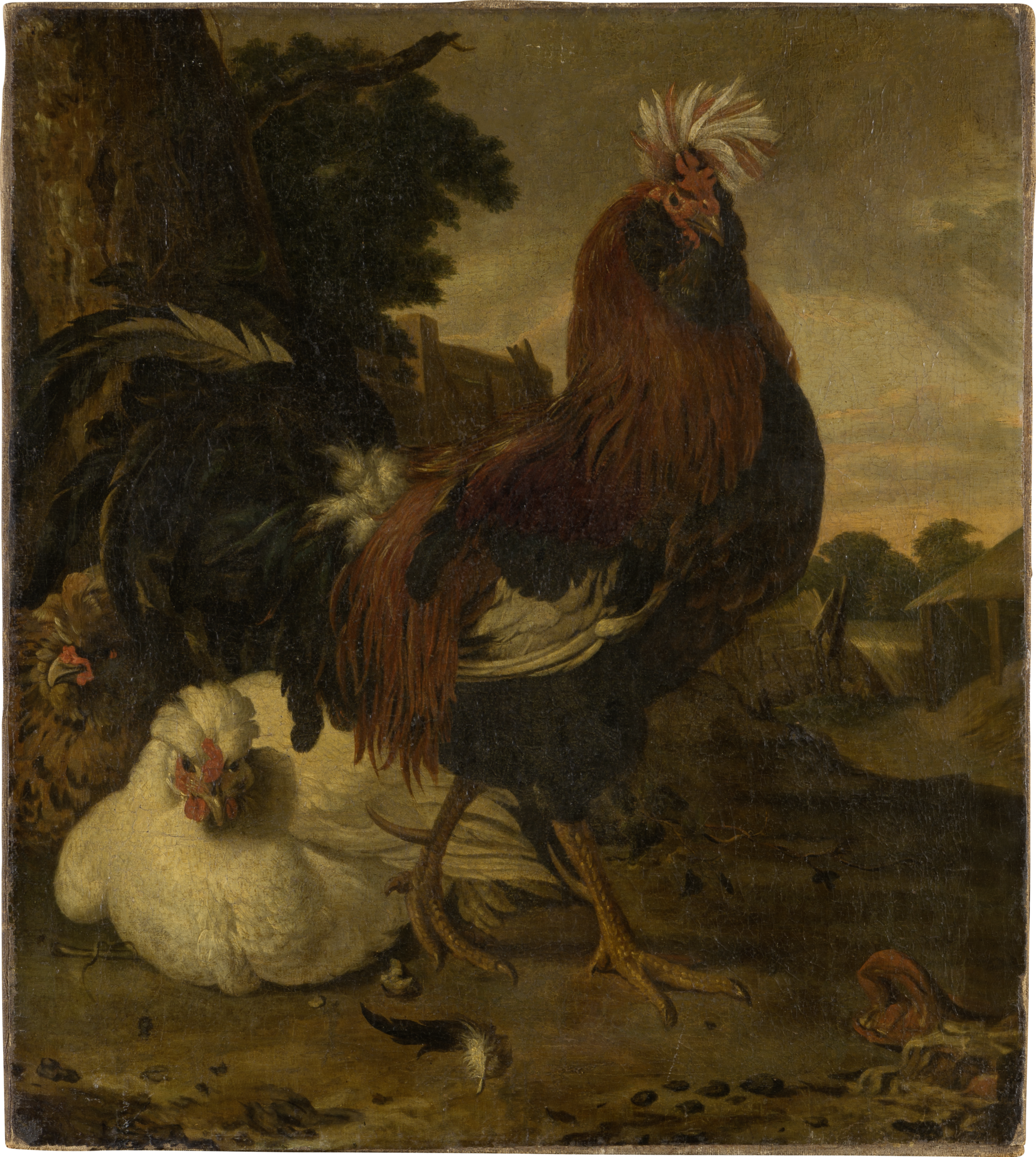 Coq dans une basse-cour - Melchior de Hondecoeter