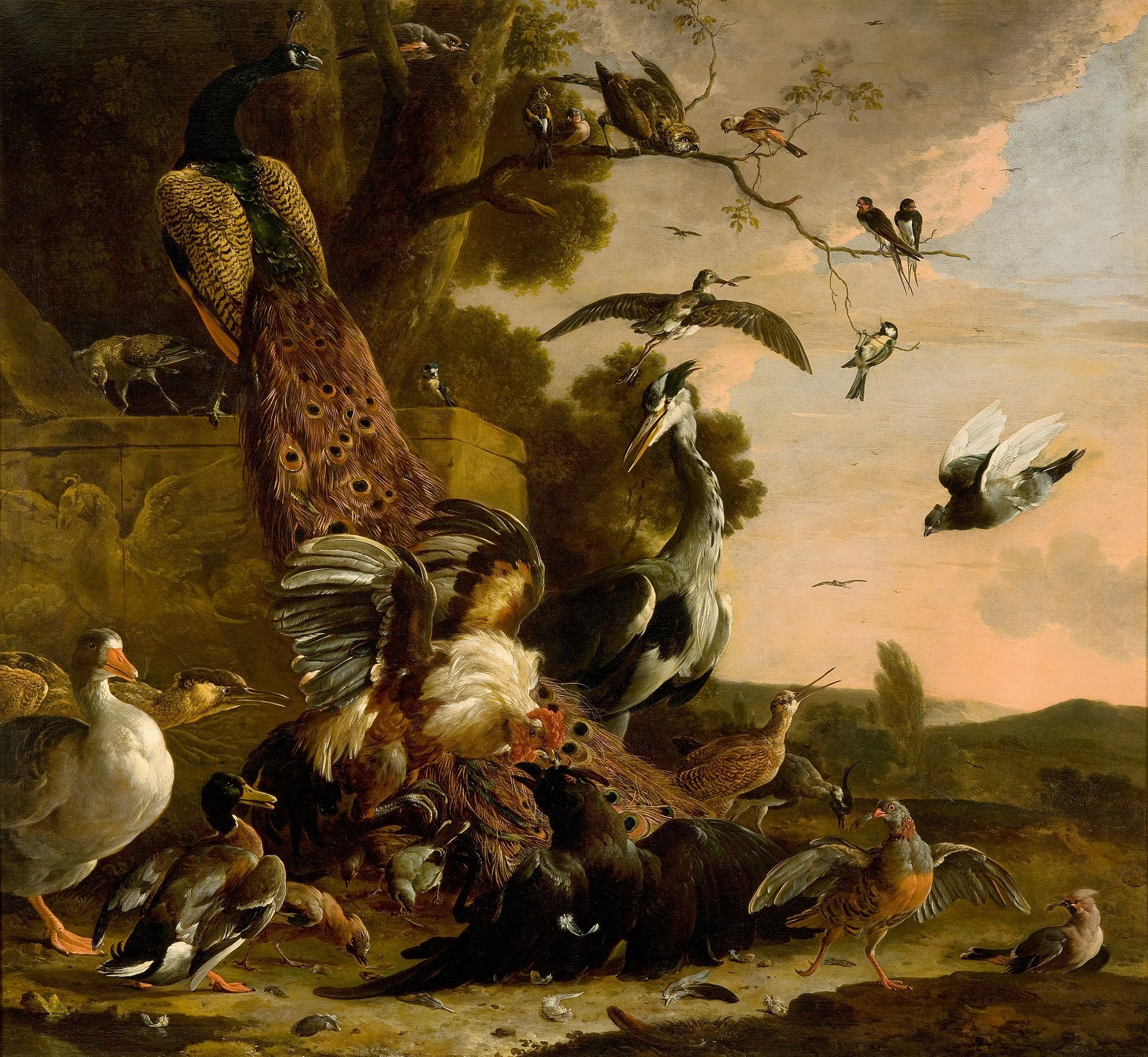 Le corbeau épouillé de son faux plumage - Melchior de Hondecoeter