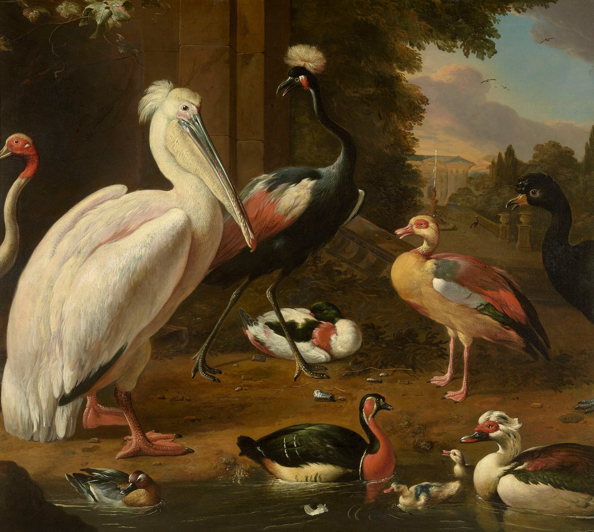 Oiseaux aquatiques - Melchior de Hondecoeter