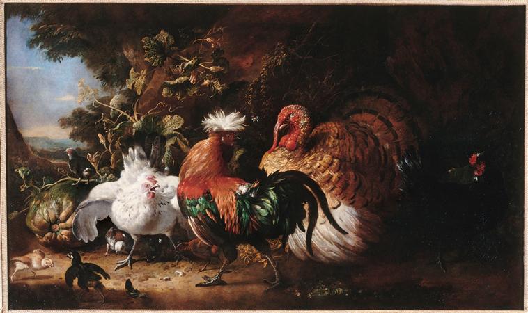 Oiseaux de basse-cour - Melchior de Hondecoeter