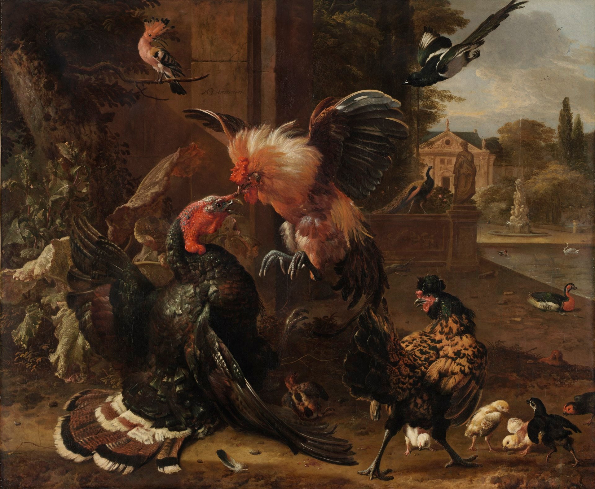 Un coq et une dinde se battent - Melchior de Hondecoeter