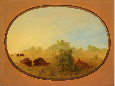 Les Indiens Pawnee s'approchent de Buffalo - George Catlin