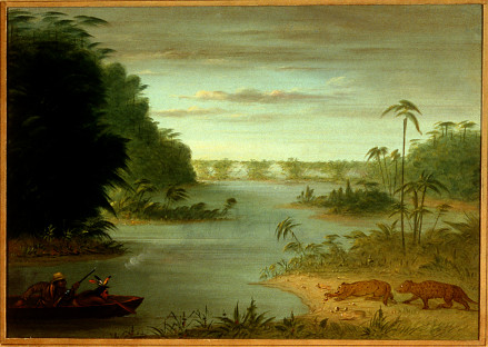 Pont de Palmiers et Tir au Tigre - George Catlin