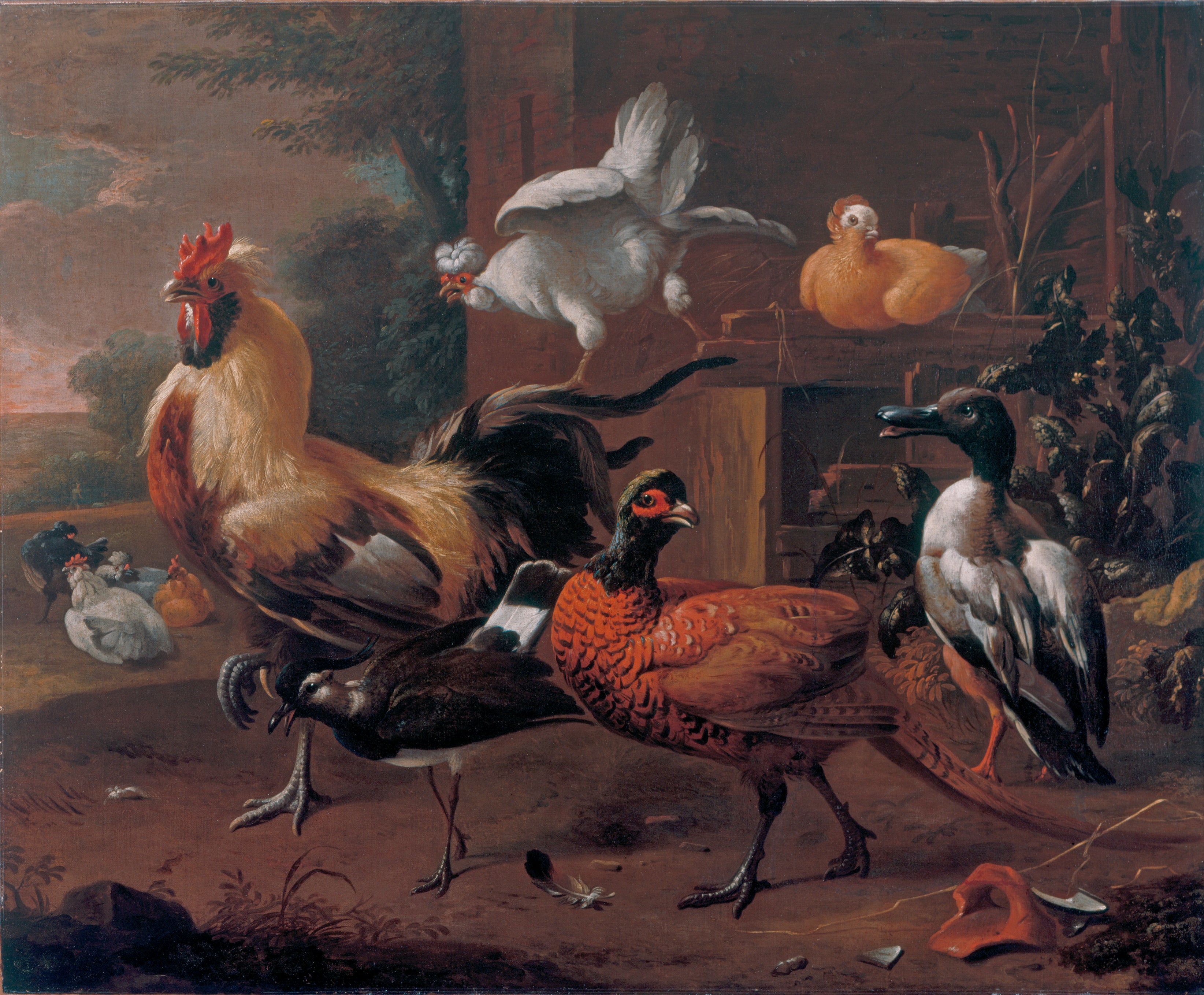 basse-cour - Melchior de Hondecoeter