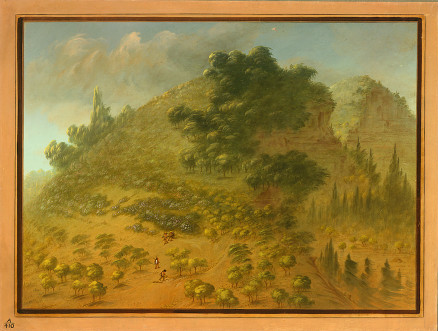 Montagne des Rhododendrons - George Catlin