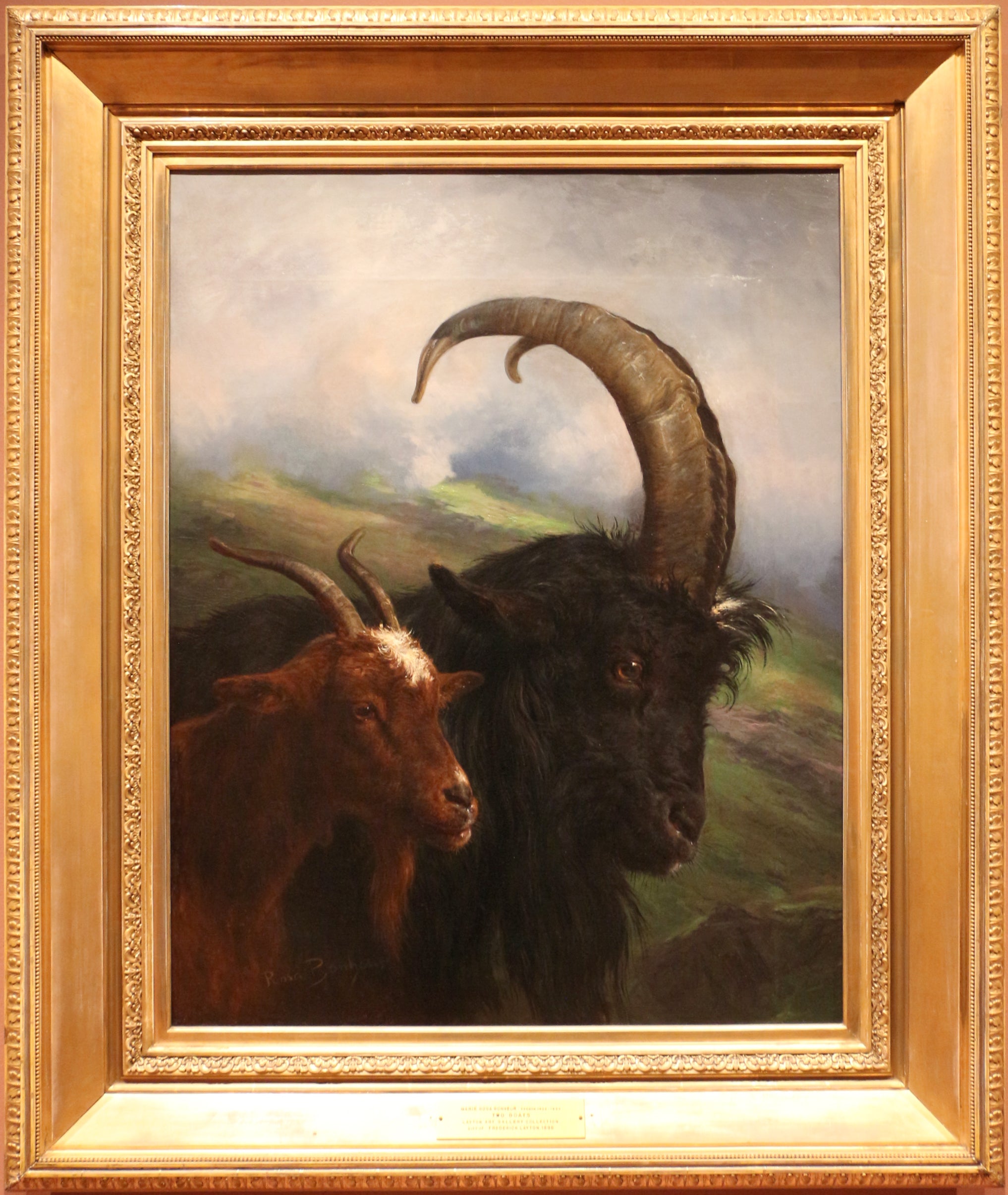 Deux chèvres - Rosa Bonheur