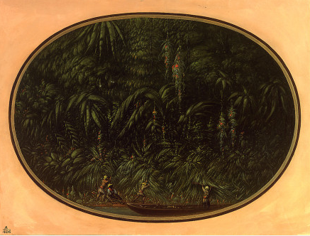 Rivage des Trombetas - George Catlin