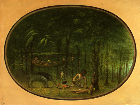 Le Grand Fourmilier - George Catlin