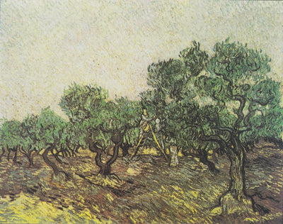 Reproduction du tableau « Cueillette des olives - Vincent van Gogh » par Alpha Reproduction en peinture à l’huile