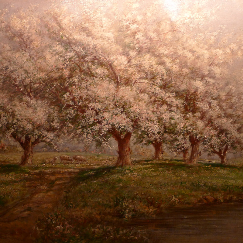 Fleurs de pommier – Verner Moore White