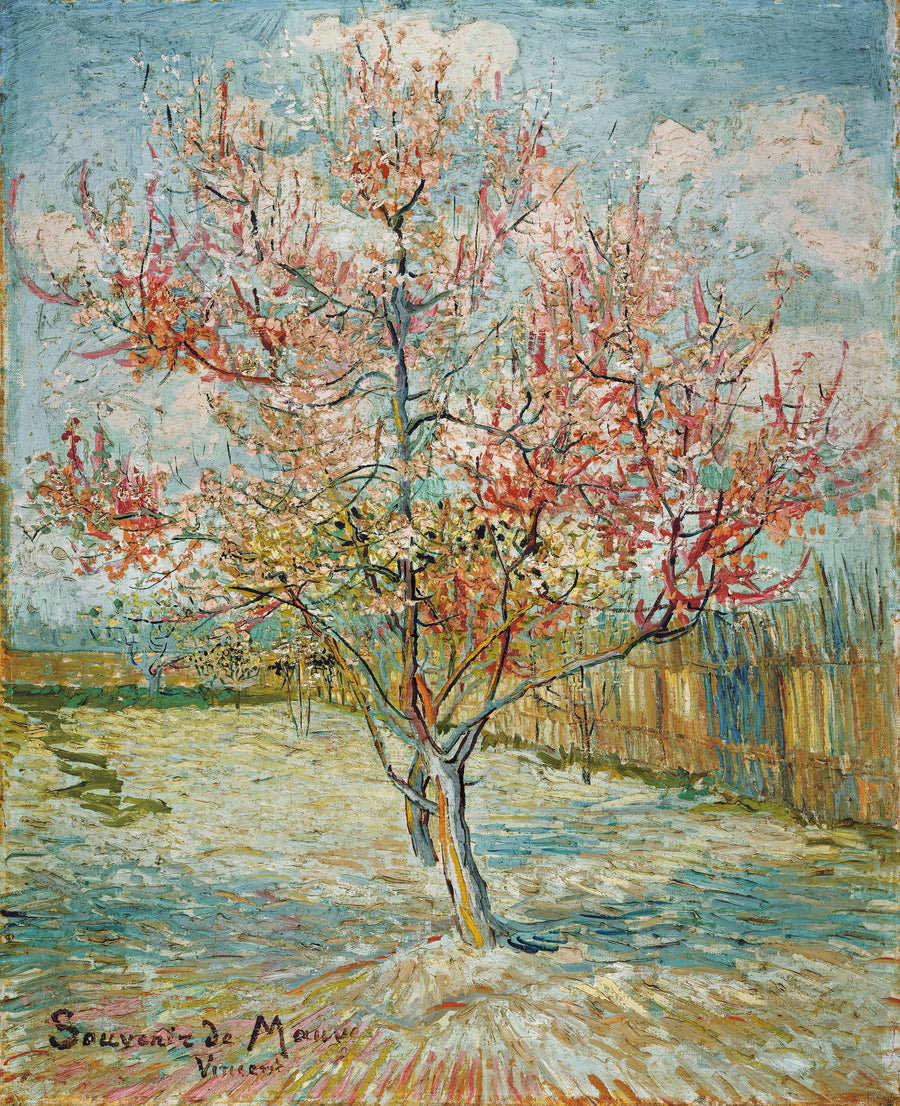 Pêcher en fleurs, souvenir de Mauve – Vincent van Gogh