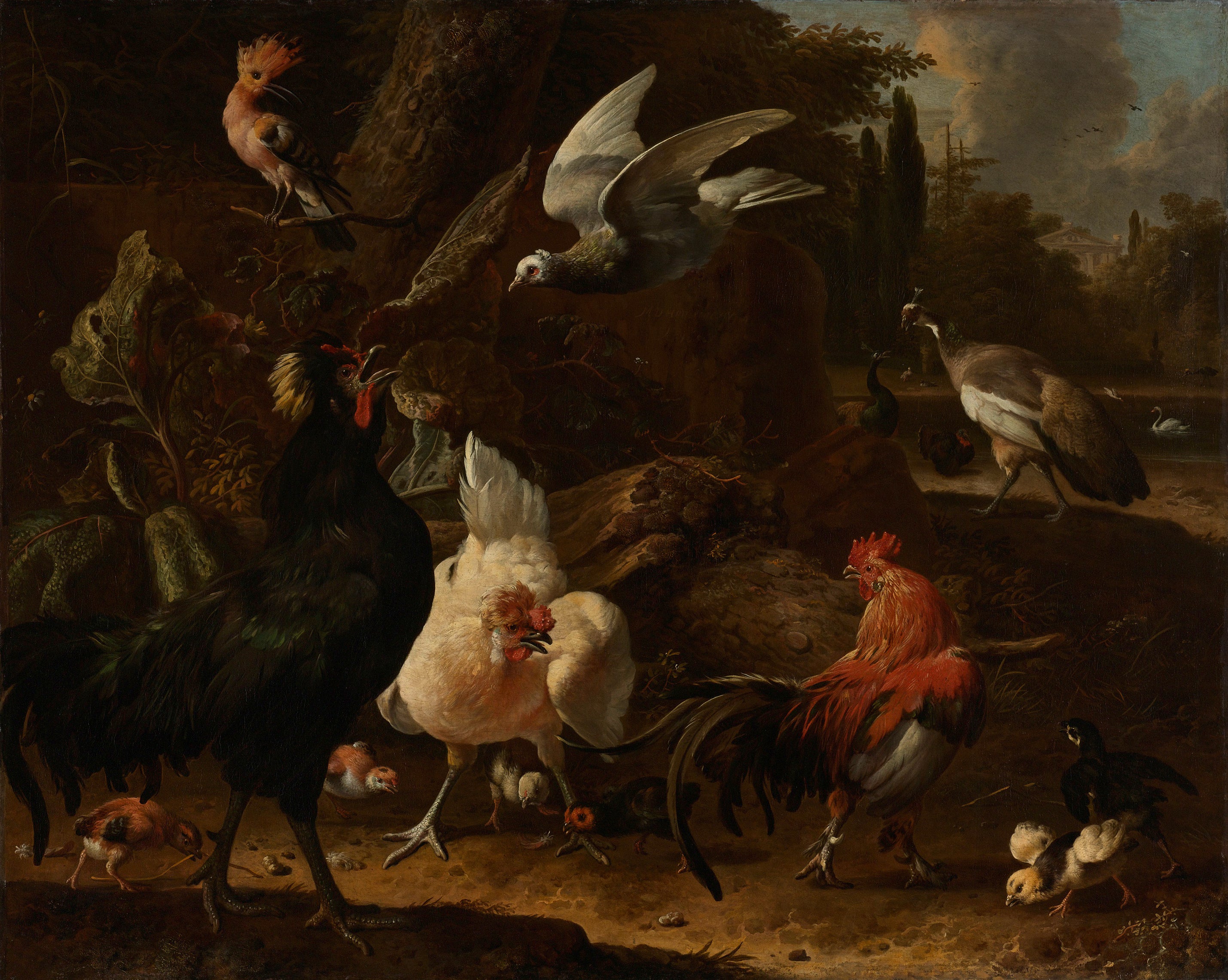 Oiseaux dans un parc - Melchior de Hondecoeter