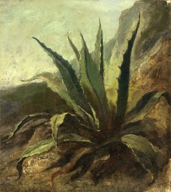 Agave au Maroc - Eugène Delacroix image 1 copie de tableau peinte à la main