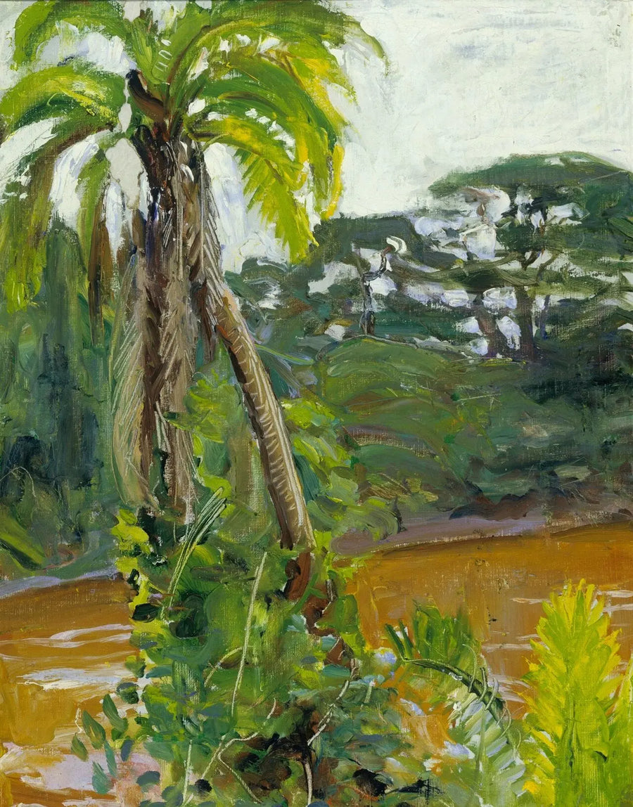 Palmier tropical au bord de la Tana - Akseli Gallen-Kallela