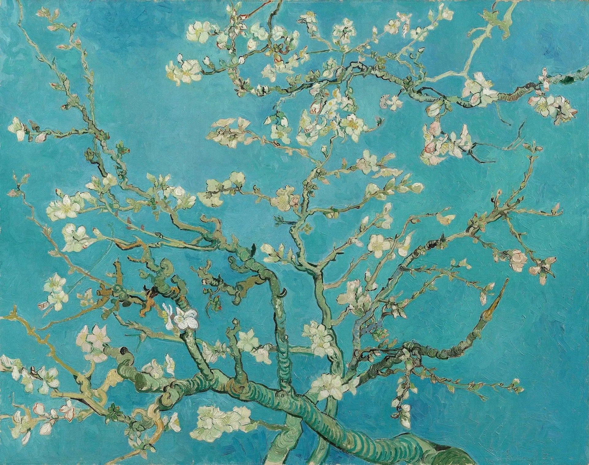 Amandier en fleurs - Vincent van Gogh image 1 reproduction d’œuvre d’art à l’huile
