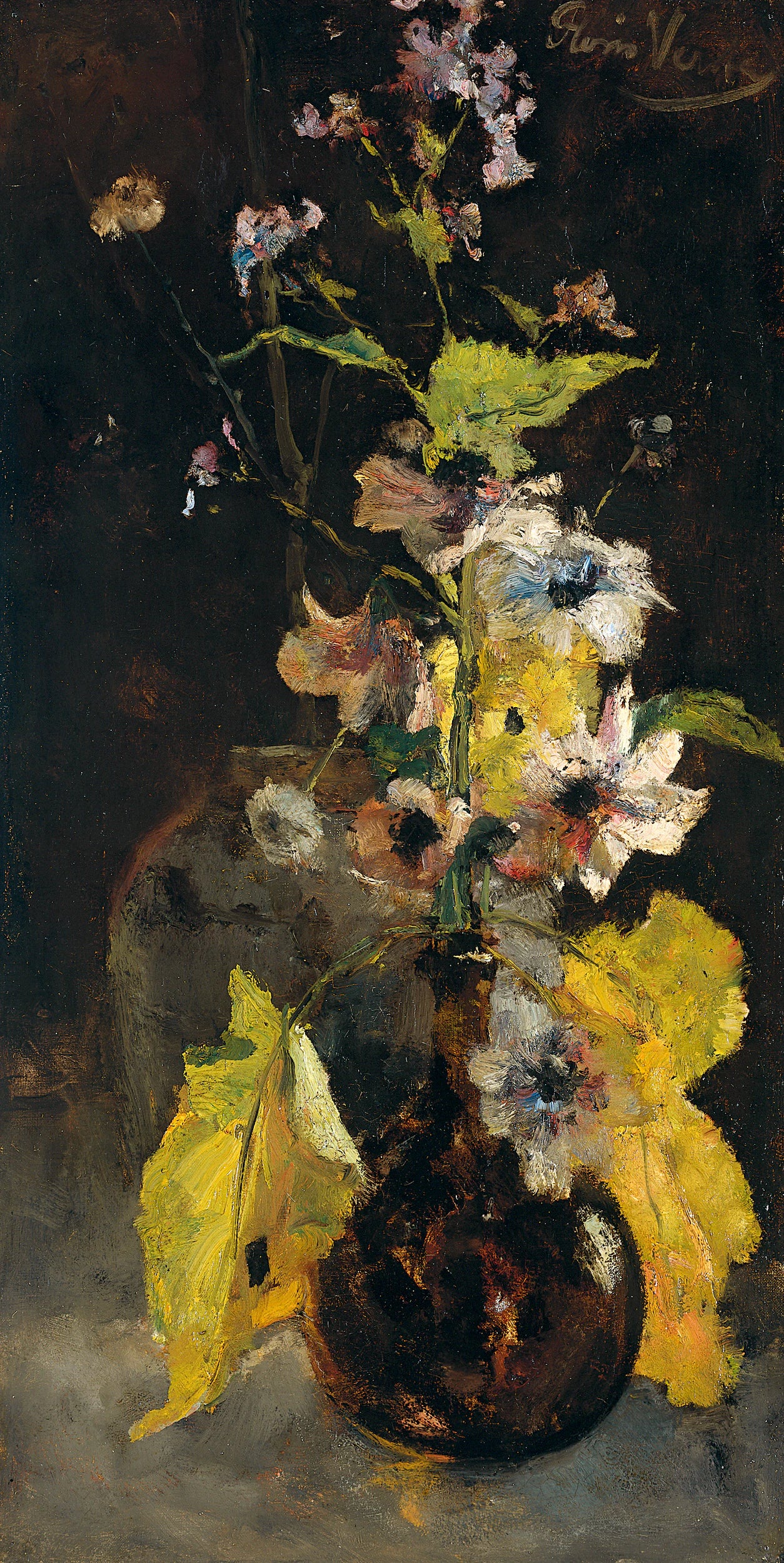 Anémones - Floris Verster