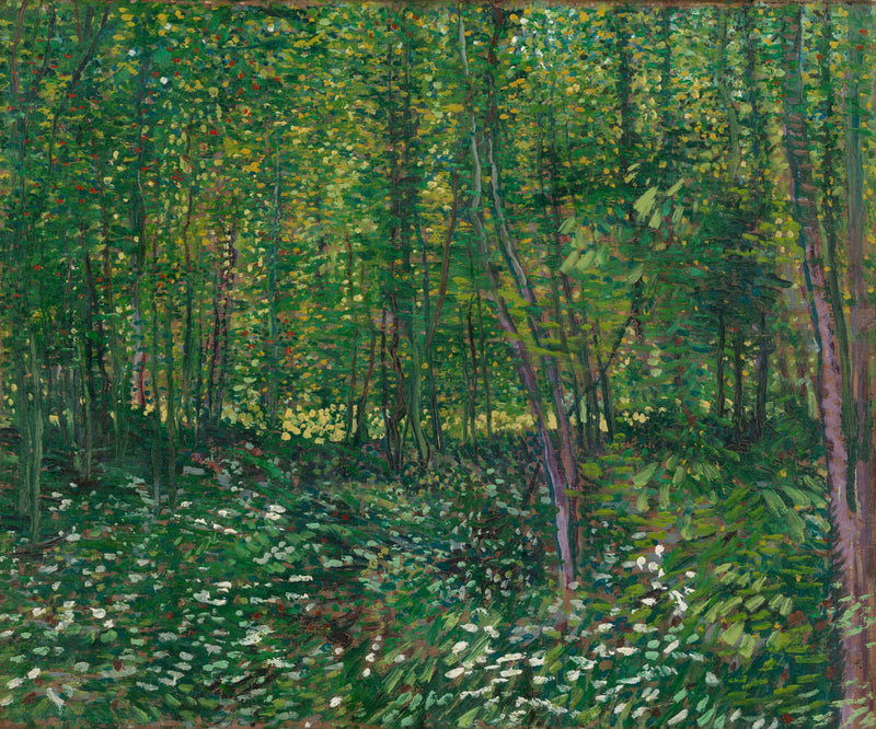 ต้นไม้และป่าใต้ - Vincent van Gogh