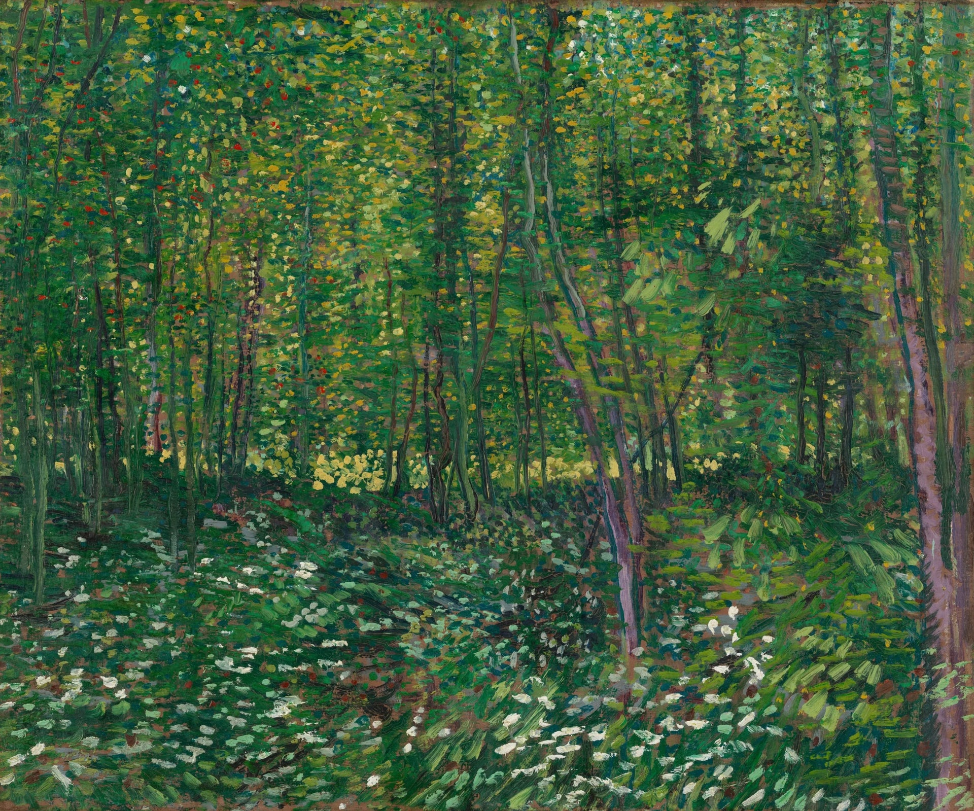 Arbres et sous-bois F309a de Vincent van Gogh, Van Gogh Museum