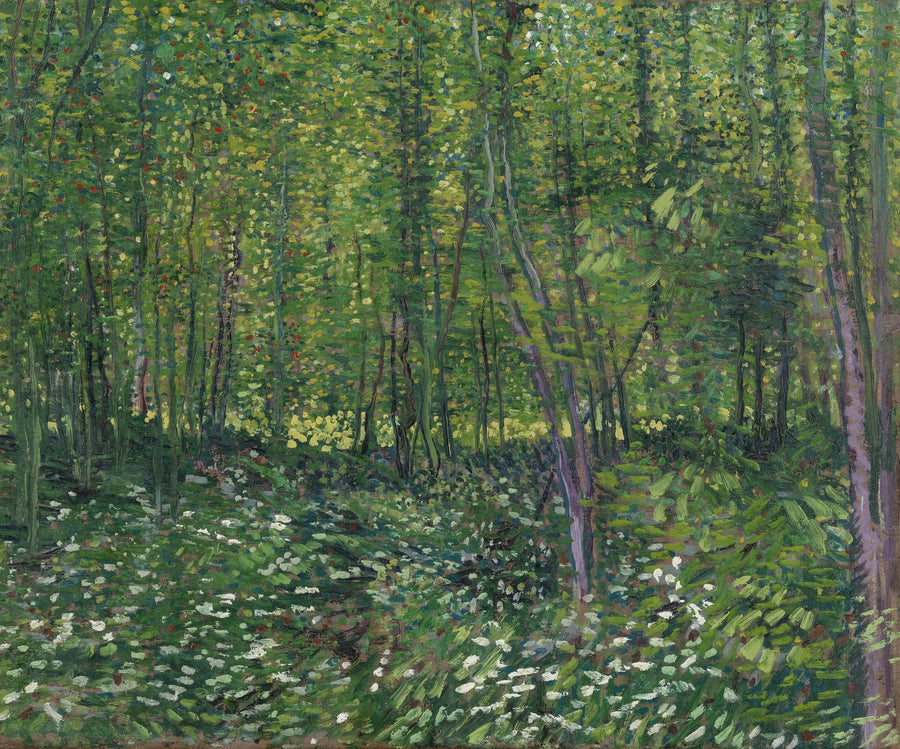ต้นไม้และป่าใต้ - Vincent van Gogh