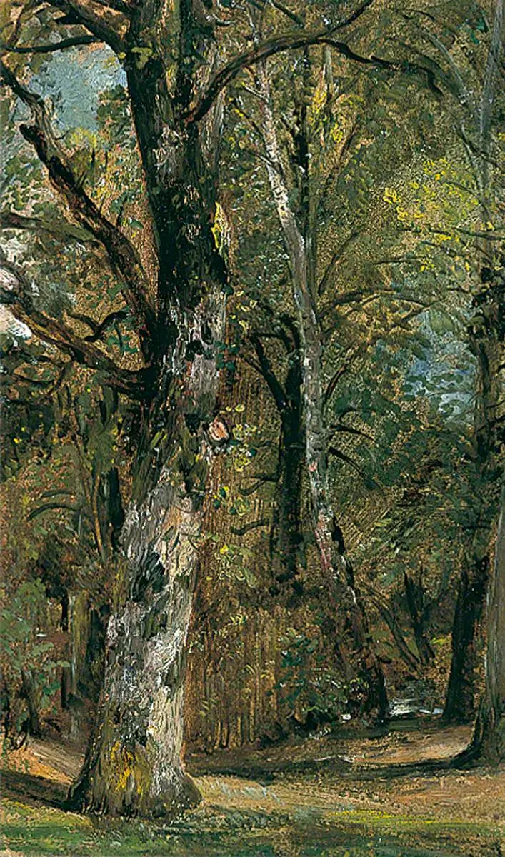 อเวนูเดอาร์บร์ - จอห์น คอนสเทเบิล