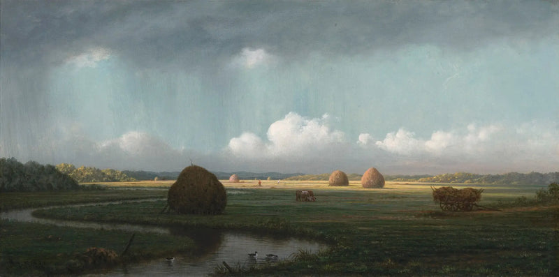 ฝนตกกระทันหัน, หนองบึงนิวเบอรี - มาร์ติน จอห์นสัน ฮีด