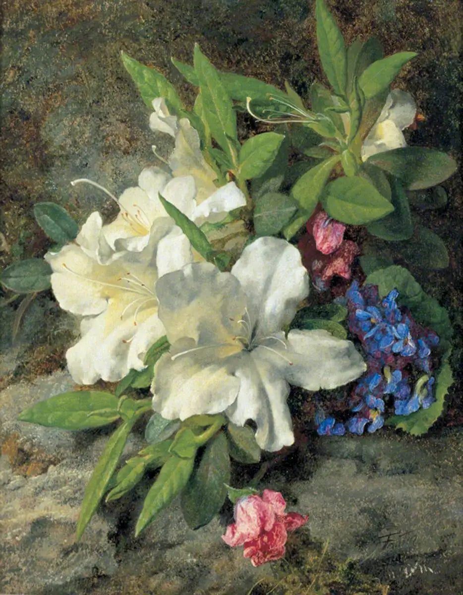 Azalées blanches - Henri Fantin-Latour - Alpha Reproduction