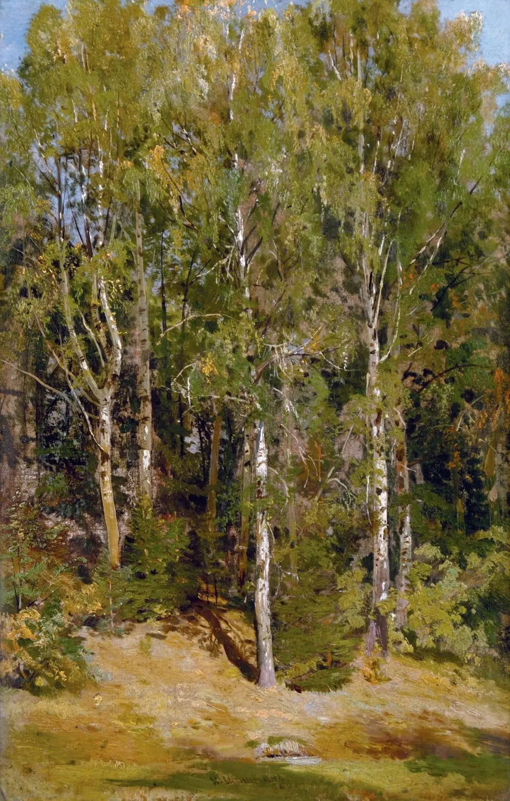 Birch Grove - Ivan Chichkine image 1 tableau peint à l’huile sur toile