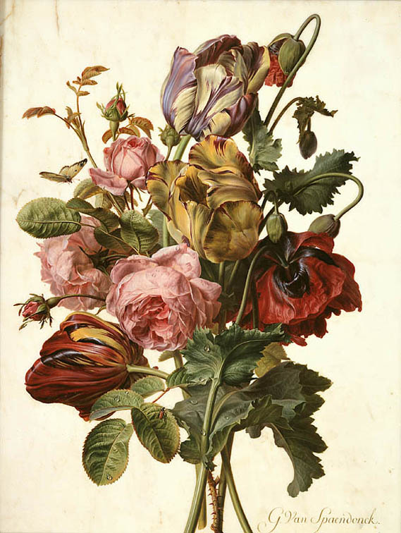 Bouquet aux pavots – Gérard van Spaendonck, peinture de coquelicots