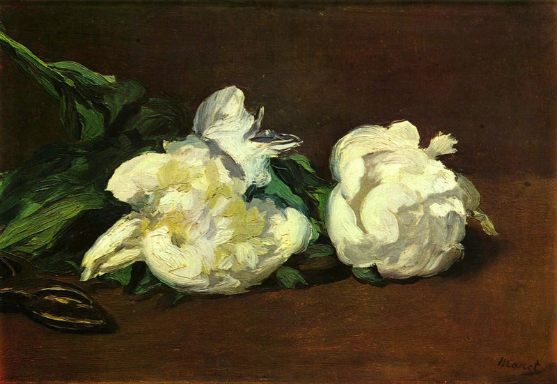 กิ่งดอกพีโอนีขาวและกรรไกร - Édouard Manet