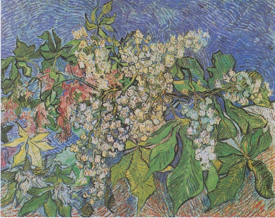 กิ่งต้นม้าลายที่มีดอก - Vincent van Gogh