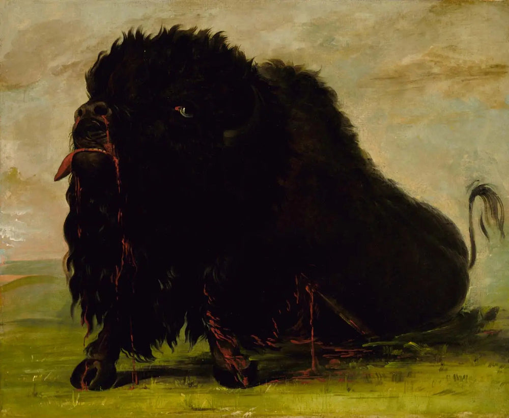 Buffle mourant, touché par une flèche - George Catlin image 1 copie peinte à la main à l’huile