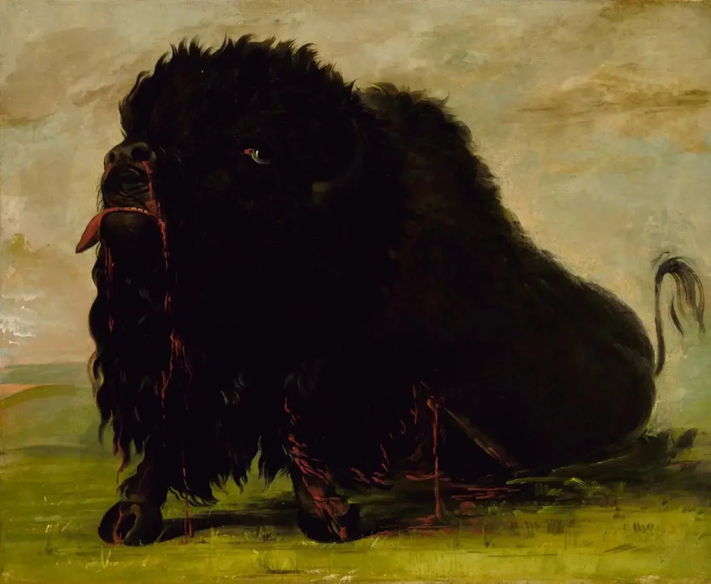 Buffle mourant, touché par une flèche - George Catlin image 1 copie peinte à la main à l’huile