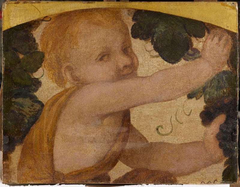 buste de putto dans les pampres - Bernardino Luini