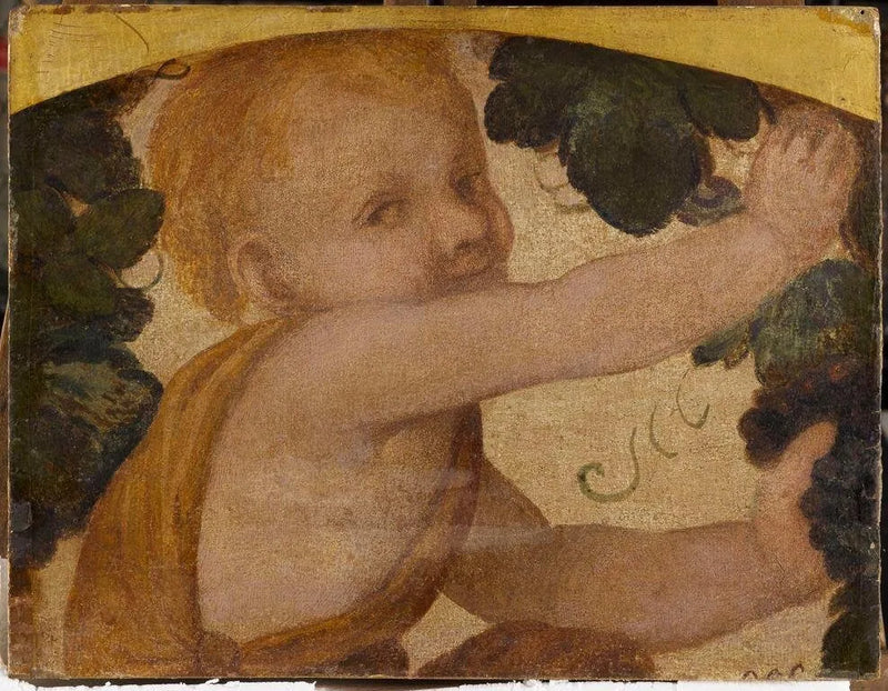 buste de putto dans les pampres - Bernardino Luini