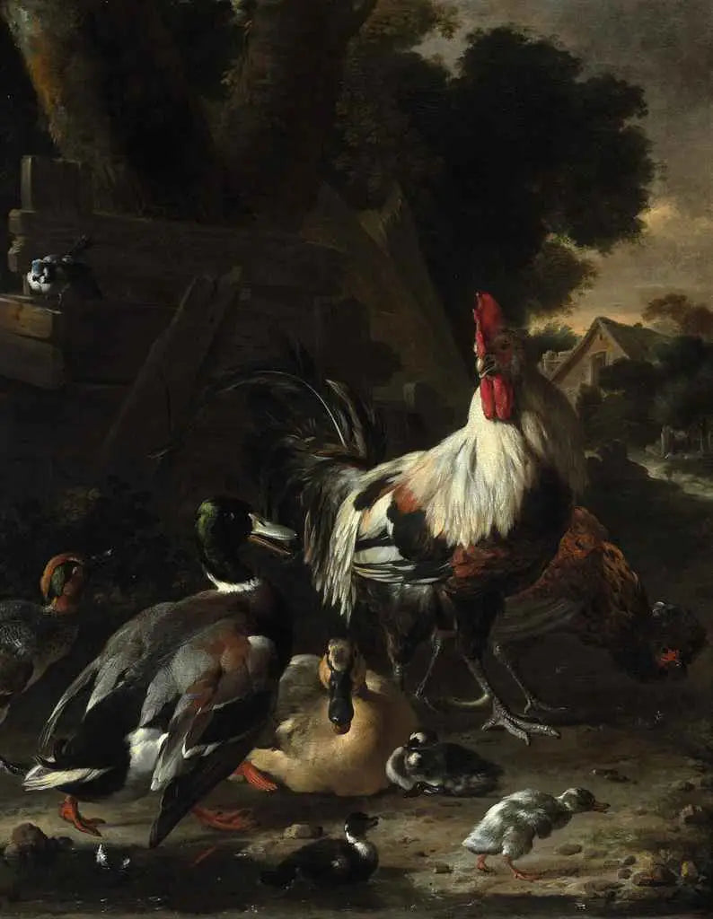 Canards, poules et autres volailles dans une cour - Melchior de Hondecoeter image 1 copie de tableau peinte à la main