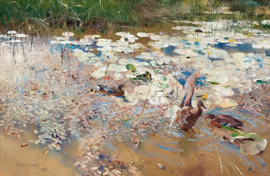 canards sauvages - Bruno Liljefors