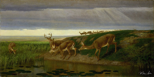 Cerf dans la prairie, 1884 - William Holbrook Beard - Reproductions de tableaux et peintures haut de gamme