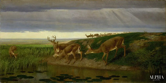 Cerf dans la prairie, 1884 - William Holbrook Beard - Reproductions de tableaux et peintures haut de gamme