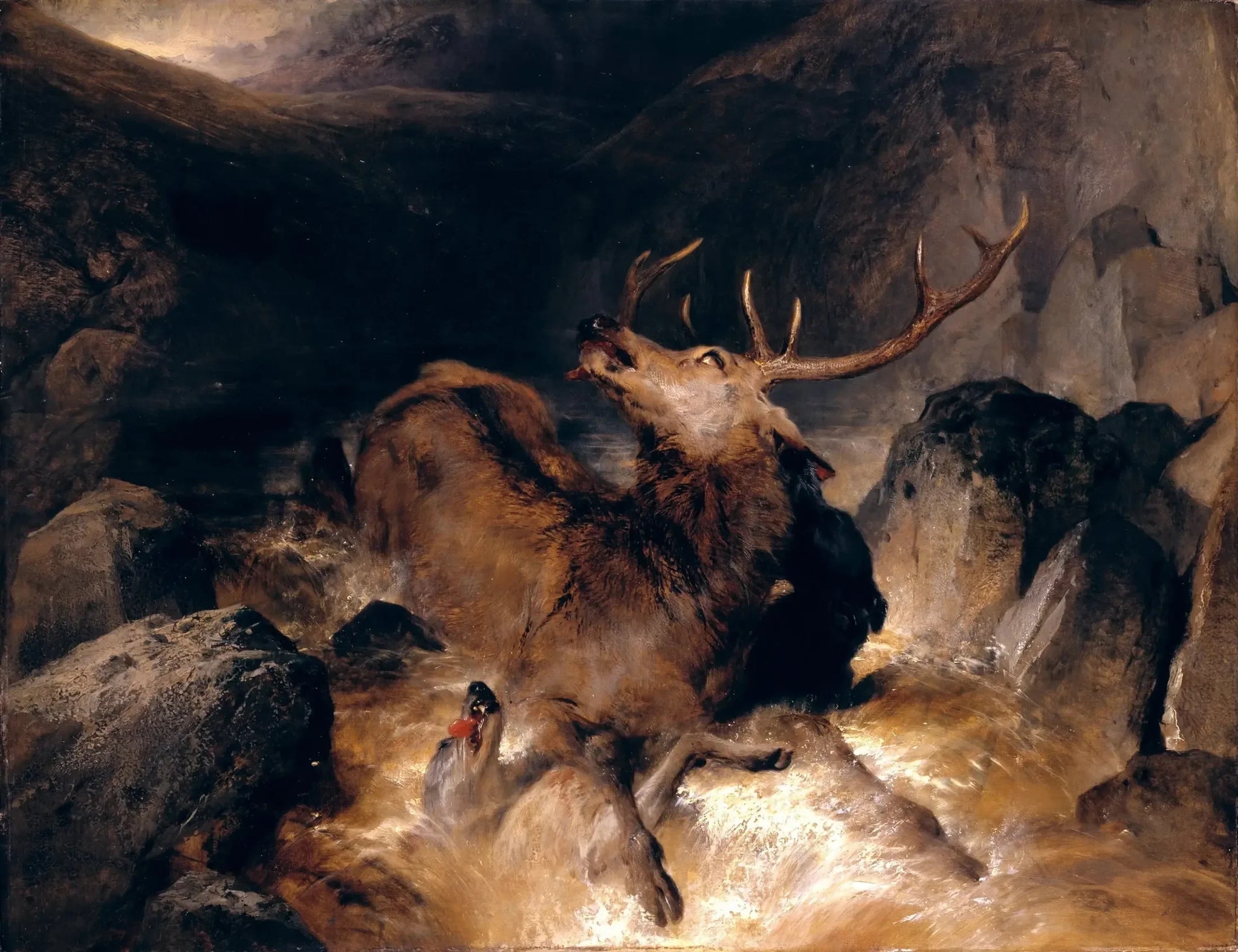 Cerfs et chiens de chasse dans un torrent de montagne - Edwin Henry Landseer image 1 reproduction réalisée par Alpha Reproduction