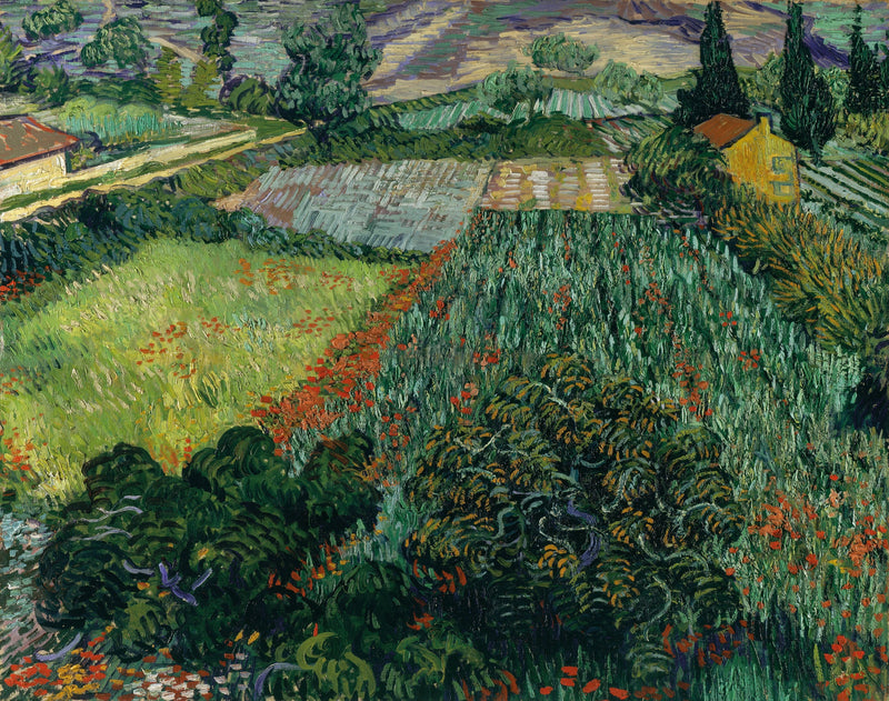 ทุ่งดอกป๊อปปี้ - Vincent van Gogh